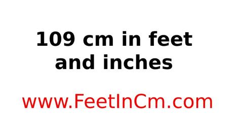 109cm to feet|109cm in feet and inches.